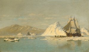 Ud for Grønland — Hvalfanger, der søger åbent vand.