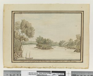 Op. s. 120. `En udsigt i den øvre del af Port Jackson; da Fisken blev skudt.