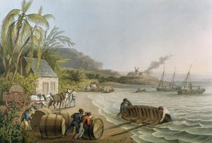 Carting and Putting Sugar Hogsheads on Board