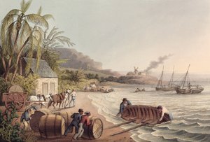 Indlæsning af tønder rom og sukker, Antigua