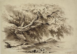 Landskab med træer, der hænger ud over en sø af William Collingwood Smith