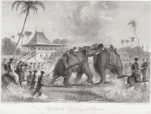 Elefanter kæmper ved Lucknow af William Daniell