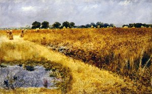 A Field of Corn (olie om bord)