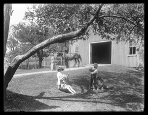Børn fra McCready-familien med hund og hvalp samlet omkring en tovgynge uden for en lade, ca.1913 af William Davis Hassler