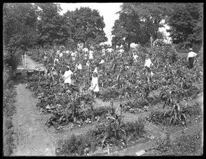 Børn, der arbejder i Isham Park skolehave, New York City, 16. august 1915 af William Davis Hassler