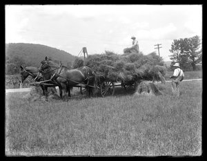 To mænd læsser hvedeblade på en hestetrukket vogn, sandsynligvis McCready Farm, Crawford County, Pennsylvania, ca. 1913 af William Davis Hassler
