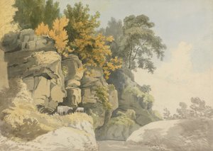 Skovklædte klipper ved en strøm (Derbyshire?)