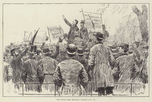 Hyde Park Meeting, søndag den 20. november af William Douglas Almond