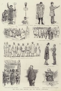 Hyde Park Meeting og Special Constables af William Douglas Almond