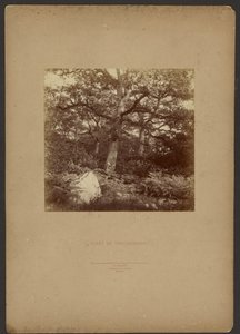 Fontainebleau-skoven af William Drooke Harrison