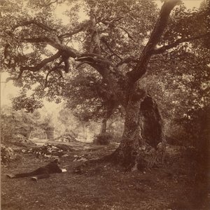Fontainebleau Skov af William Drooke Harrison