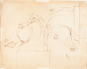 The Horse of Selene fra Elgin Marbles [recto] af William Etty