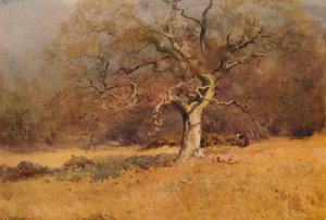 Winter Woods, c1916, 1938dani af William Eyre Walker