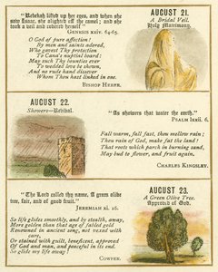Side fra The Bible Emblem Anniversary Book (farvelitografi) af William Foster