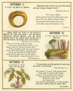 Side fra The Bible Emblem Anniversary Book (farvelitografi)