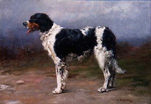 Gundog i et landskab
