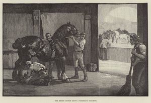 The Shire Horse Show, finpudsning