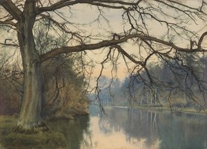 Et stort træ på en flodbred, 1892