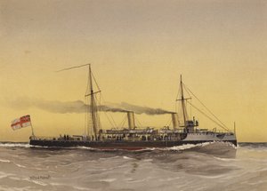 HMS Speedwell, torpedokanonbåd