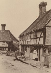 Ved Byworth, nær Petworth, Sussex (s/h-foto)