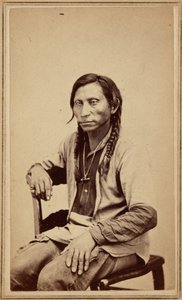 Grå ulv, 1860