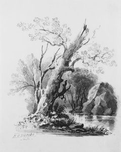 Skovlund,.