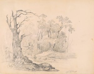 Scene fra Scott af William Guy Wall