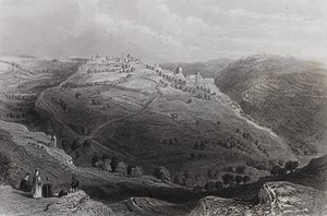 Mount Lion, Jerusalem, from the Hill of Evil Counseldani