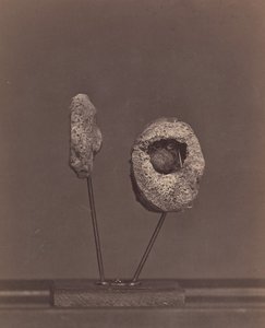 Udskåret knæled. En rund musketkugle i den indre kondyl af højre lårben [Gardin..., 1866-67.