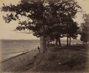 Cayuga Lake, Sheldrake af William H. Rau