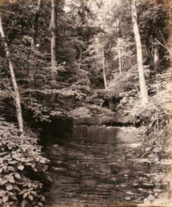 Owasco Lake, Cascade Glen, for Lehigh Valley Railroad