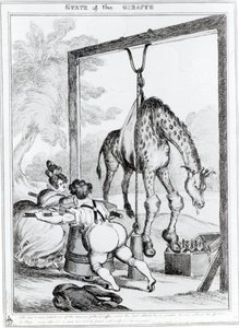 Giraffens tilstand, 1829 af William Heath