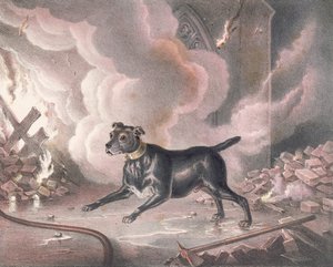 Londons brandmandshund af William Heath