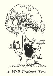 Et veltrænet træ (litho) af William Heath Robinson