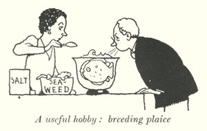 En nyttig hobby, avl rødspætte (litho) af William Heath Robinson