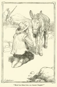Illustration til Don Quixote (litho) af William Heath Robinson