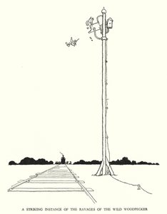 Illustration til Railway Ribaldry af W Heath Robinson (litho) af William Heath Robinson
