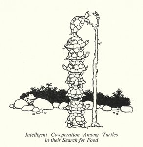 Intelligent samarbejde blandt skildpadder i deres søgen efter mad (litho) af William Heath Robinson