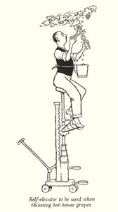 Selvelevator til brug ved udtynding af hothouse-druer (litho) af William Heath Robinson