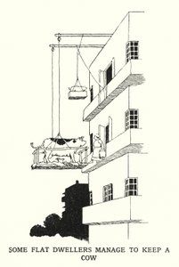 Nogle flade beboere formår at holde en ko (litho) af William Heath Robinson