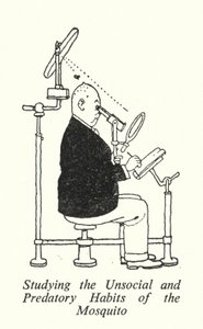 At studere myggens usociale og rovdyrvaner (litho) af William Heath Robinson