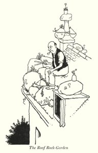 The Roof Rock-Garden (litho) af William Heath Robinson
