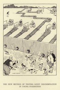 Den nye metode til test af duftdiskrimination hos unge rævehunde af William Heath Robinson