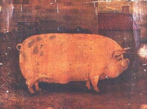 Prisen Pig Jumbo II af William Henderson