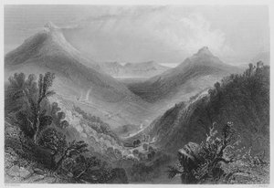 Glen of the Downs (gravering) af William Henry (after) Bartlett