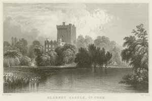 Blarney Castle i County Cork af William Henry Bartlett
