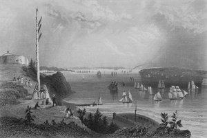 New York Bay, fra Telegraph Station (gravering) af William Henry Bartlett