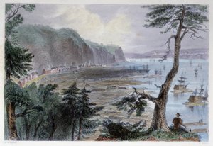 Træaflejring nær Quebec - i "" canadisk landskab illustreret" af Bartlett W. H. af William Henry Bartlett