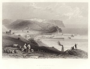 Whitehaven, (med St Bees-head) af William Henry Bartlett