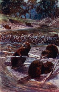 "De bygger en dæmning på tværs af åen" (farve litho) af William Henry Charles Groome